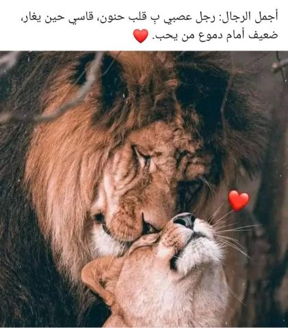 رمضان من سوريا للتعارف بصدق واحترام 